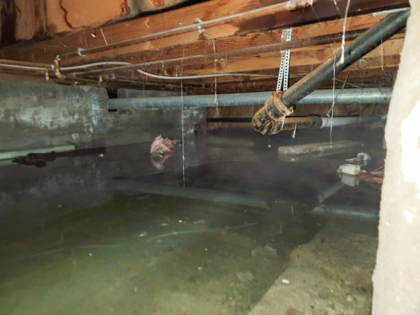 Best Water damage restoration near me  in Tri City, OR