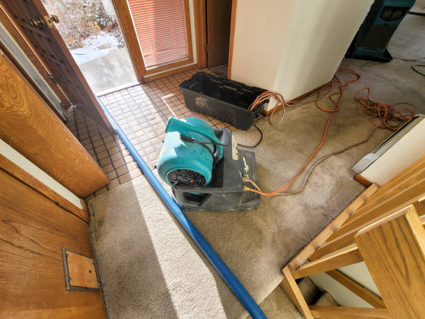 Best Water damage contractors near me  in Tri City, OR